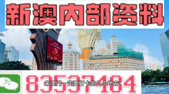 新澳门2024-2025年正版免费公开,富强解释解析落实