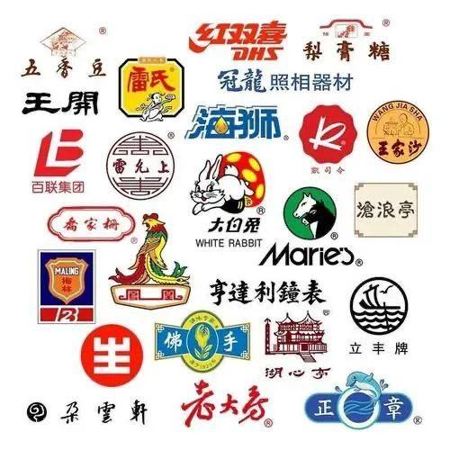 最新党支部档案目录及其重要性