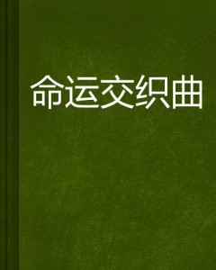 楼七沉煞最新章节，命运交织的波澜