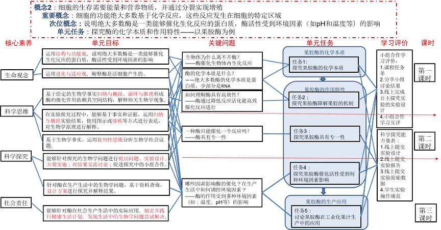 安阳北大附中最新动态，迈向新时代的卓越教育之旅