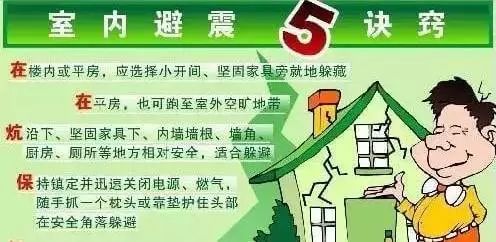 湛江官场地震最新消息，深度分析与观察