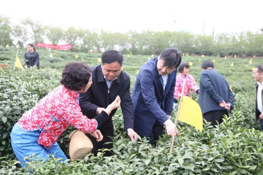 顺丰伙伴计划最新消息，构建共赢生态，共创美好未来